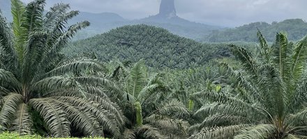 Iles volcaniques de Sao Tomé et Principe