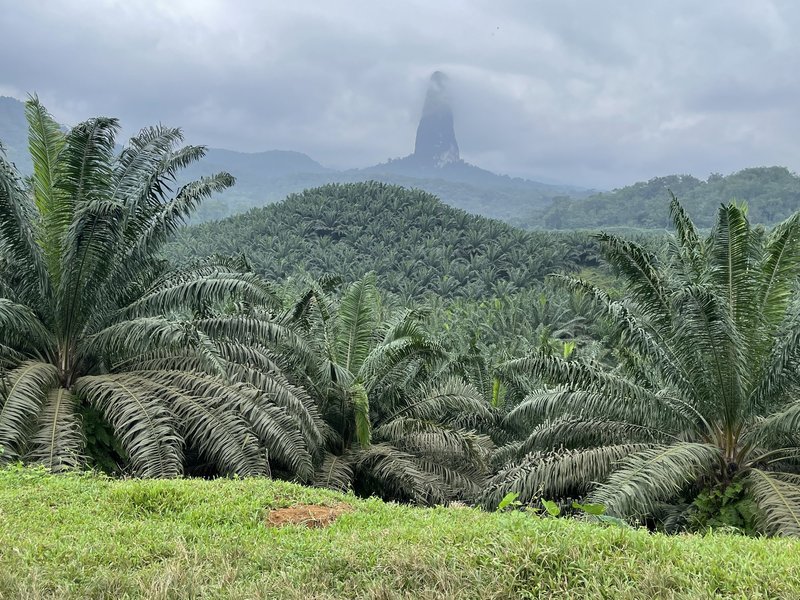 Iles volcaniques de Sao Tomé et Principe 3