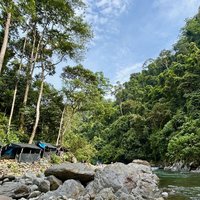 Campsite near Bukit Lawang