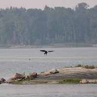 Pimachiowin Aki