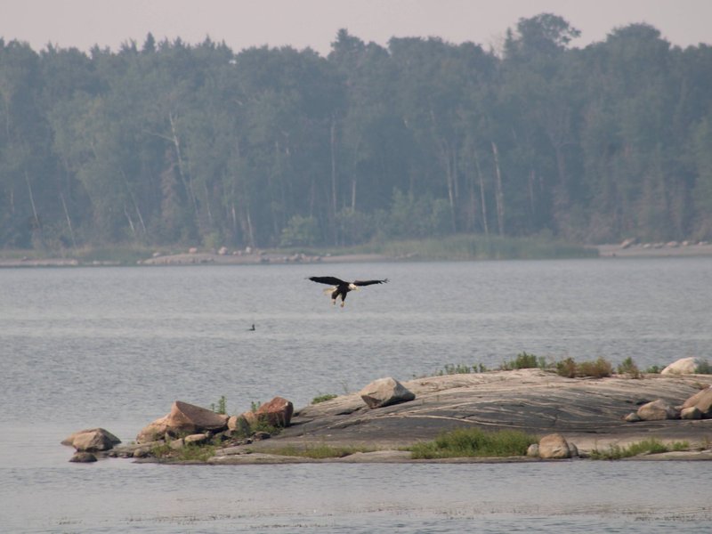 Pimachiowin Aki