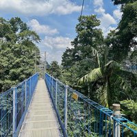 FRIM Forest Skywalk