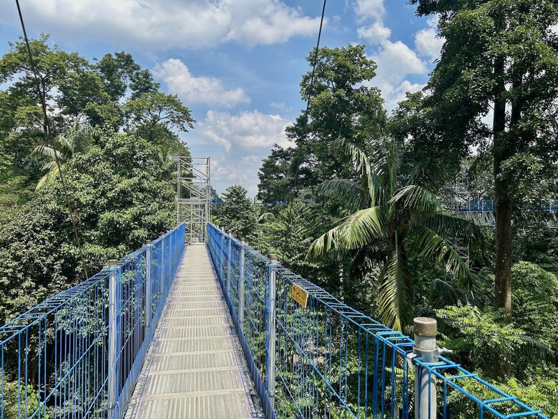 FRIM Forest Skywalk
