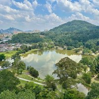 View from FRIM Forest Skywalk of Kepong Botanic Gardens