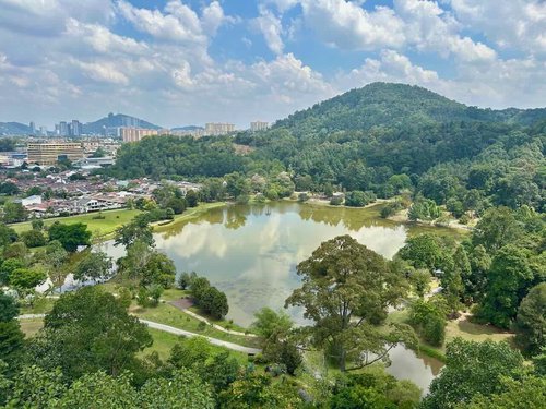 View from FRIM Forest Skywalk of Kepong Botanic Gardens