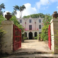 Barbados Sugar and Rum