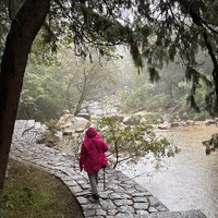 Nature trail at the lower section of Taishan
