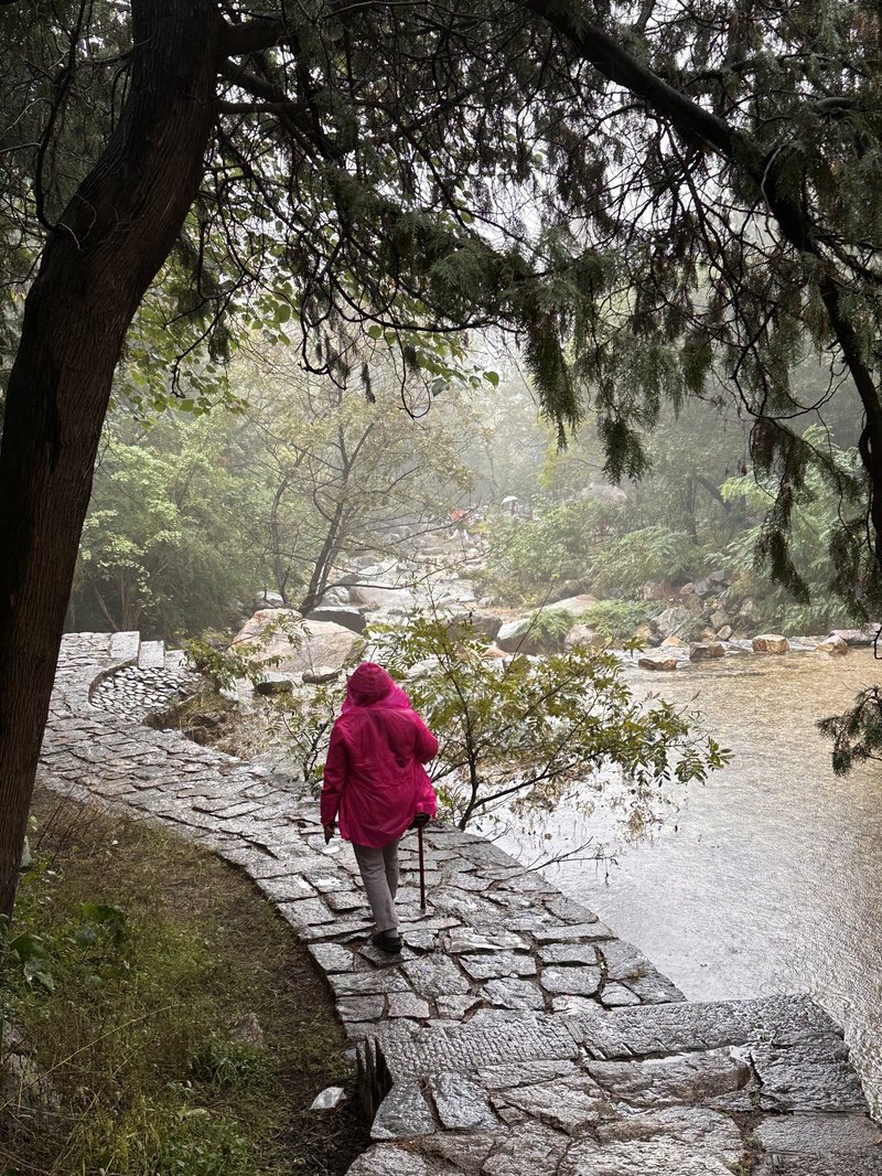 Nature trail at the lower section of Taishan