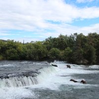Katmai National Park
