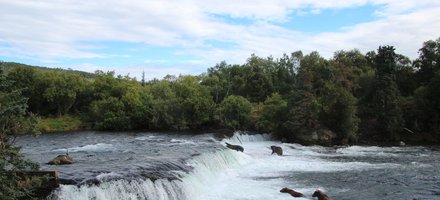 Katmai National Park