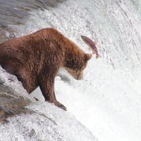 Katmai National Park