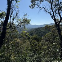 Rainforests of the Atsinanana: Parc National de Ranomafana Vatovavy Fitovinany