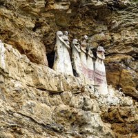 Karajia by Ammon Watkins