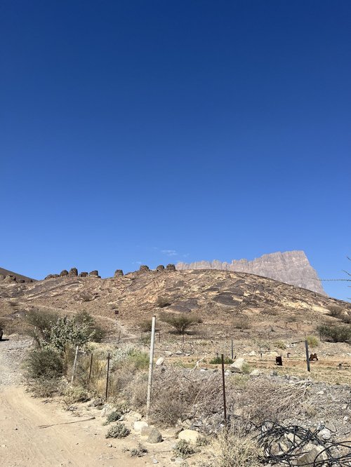 Some goats by the site