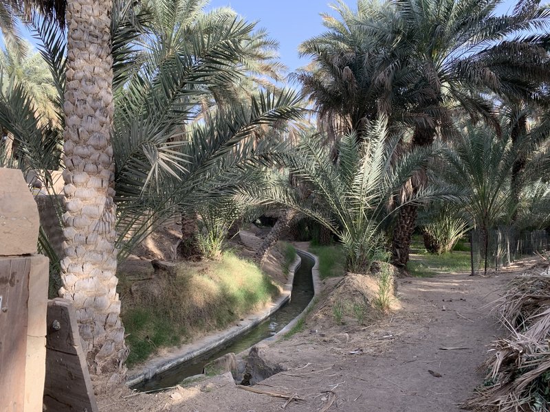Al Ain Oasis