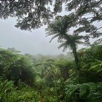 Daintree Lookout
