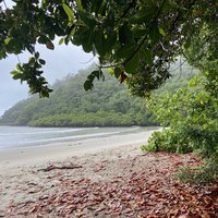 Daintree National Park
