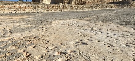 The Murge of Altamura