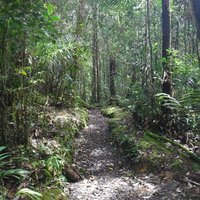 Kinabalu Park