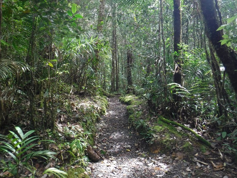Kinabalu Park