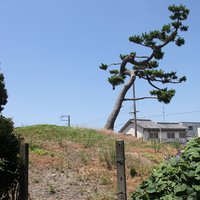 Mozu-Furuichi Kofun: Komoyamazuka Kofun