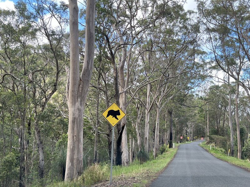 Access road to Lamington NP (Gondwana Rainforests)