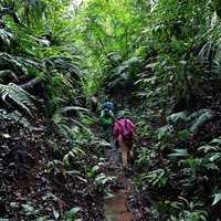 Little remains of the original Camino