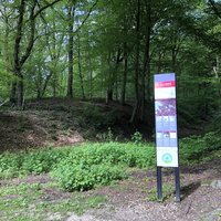 Lower Limes Berg en Dal