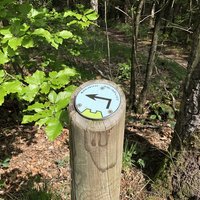 Signage Limes at Berg en Dal