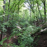 Limes at Berg en Dal: gully deepened by Roman soldiers