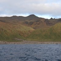 Lusitania Bay, Macquarie Island