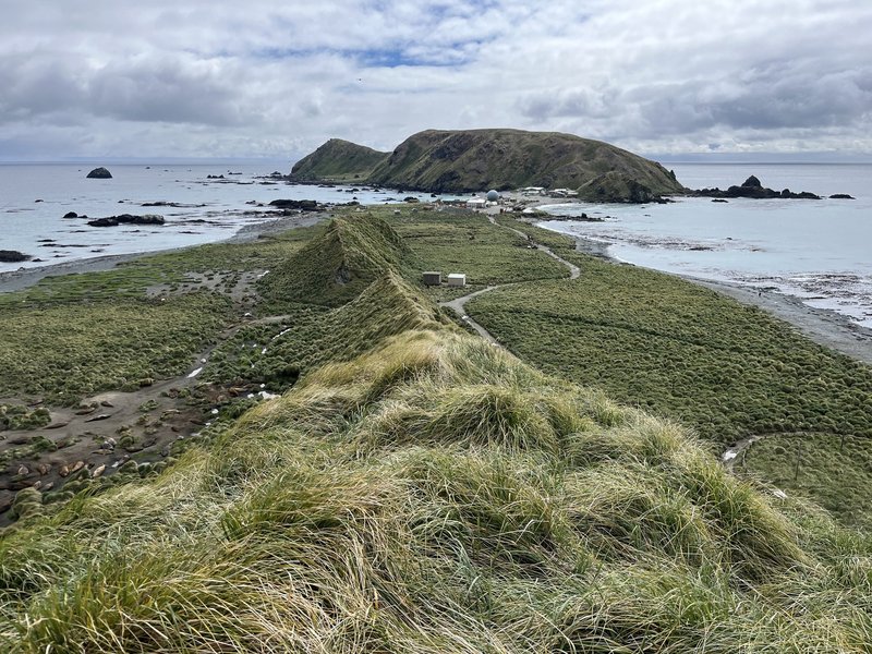 Macquarie Island ridge