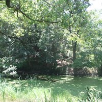 Mozu-Furuichi Kofun: Magodayuyama Kofun