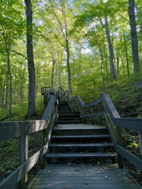 Mammoth Cave