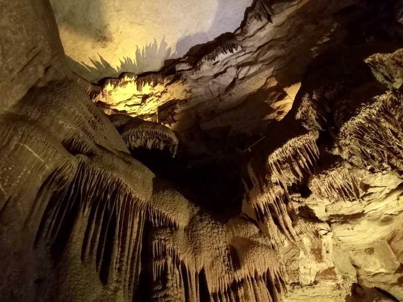 Mammoth Cave (KJM)