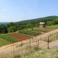 Monticello