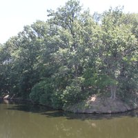 Mozu-Furuichi Kofun: Nagayama Kofun