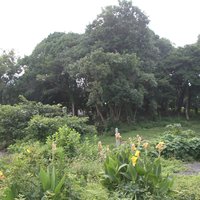 Mozu-Furuichi Kofun: Nakayamazuka Kofun