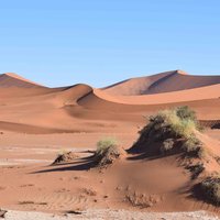 Namib Sand Sea