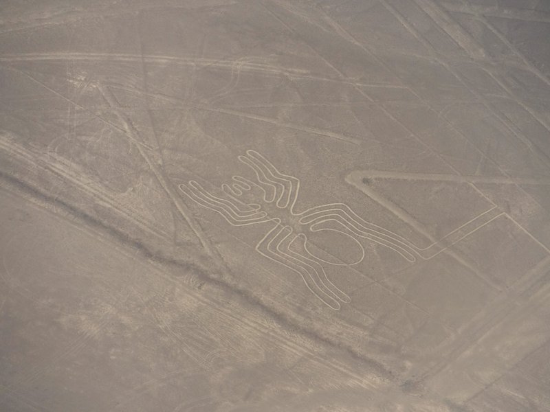 Nasca Lines