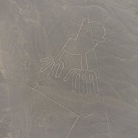 Nasca Lines