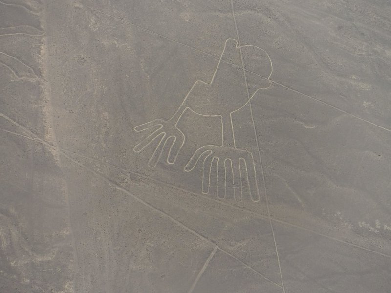 Nasca Lines