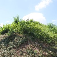 Mozu-Furuichi Kofun: Nishiumazuka Kofun