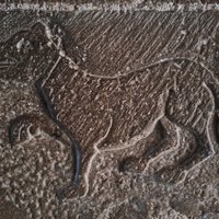 A faithful companion at Loarre Castle