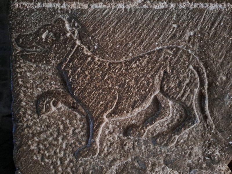 A faithful companion at Loarre Castle