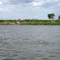 Sudd wetland