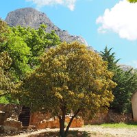 A colorful photo of the mountain