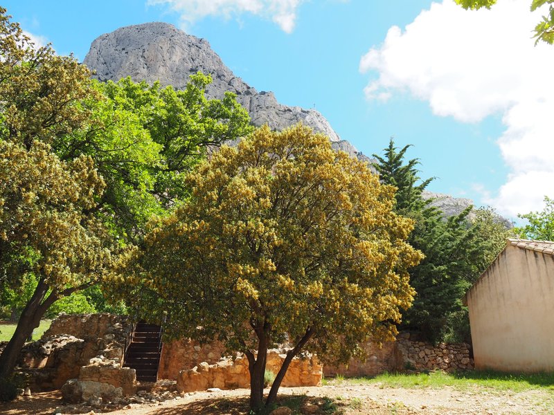 A colorful photo of the mountain