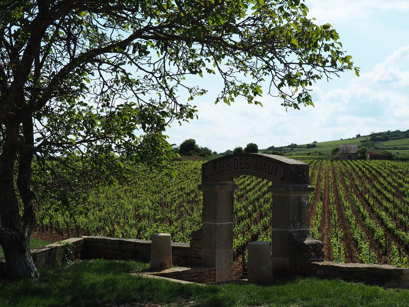 Clos des Avaux