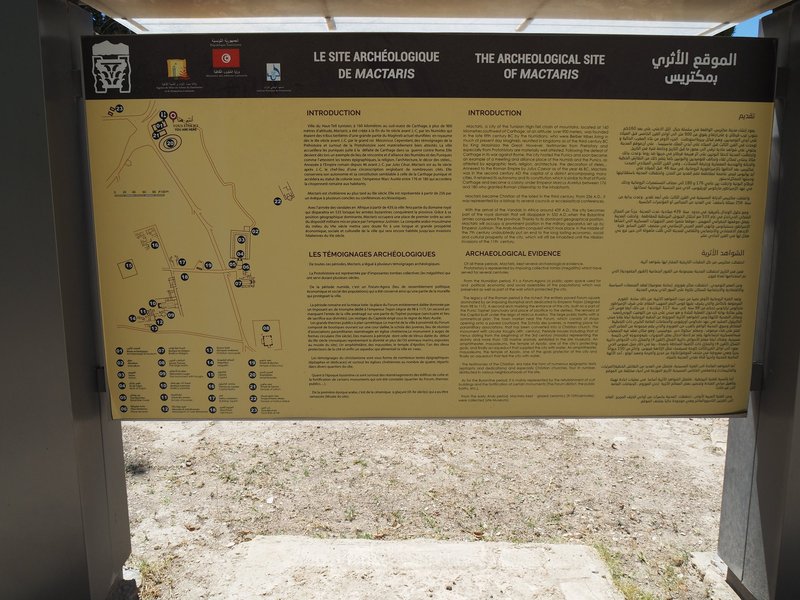 Les mégalithes en bas à gauche, n°14